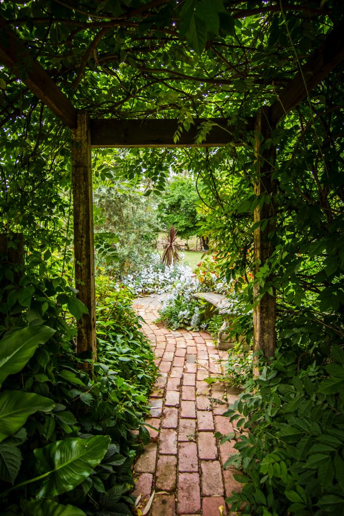 jardin avec allée en pavé et structure en bois